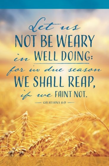 Bulletin-Let Us Not Be Weary In Well Doing (Galatians 6:9  KJV) (Pack Of 100)