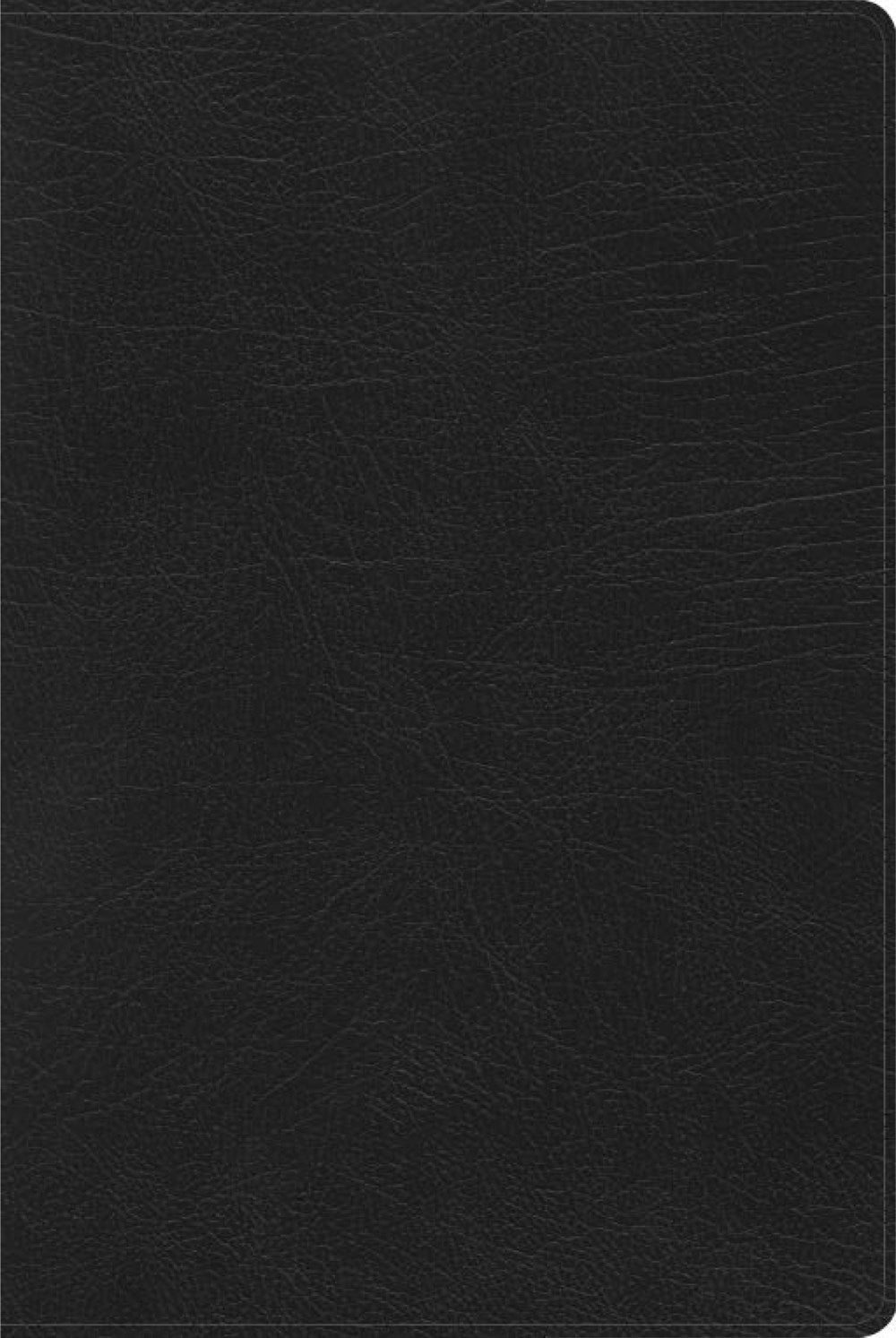 RVR 1960 Rainbow Study Bible (Biblia de Estudio Acro Iris)-Black Imitation Leather