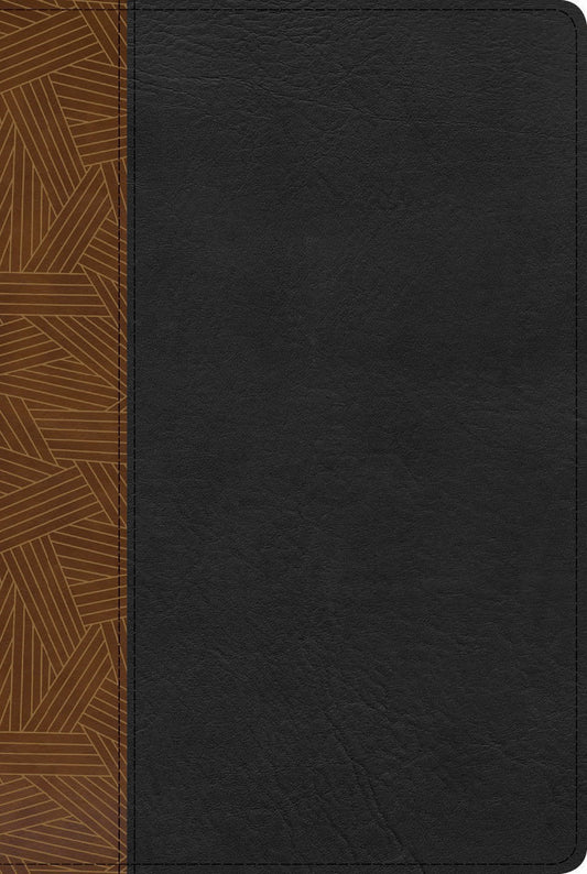 RVR 1960 Rainbow Study Bible (Biblia de Estudio Acro Iris)-Tan/Black Imitation Leather