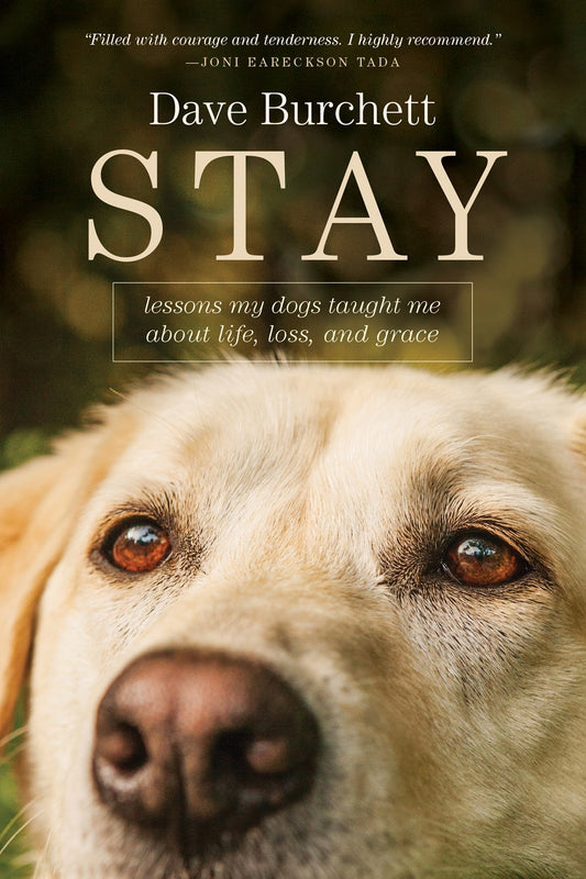 Stay-Softcover