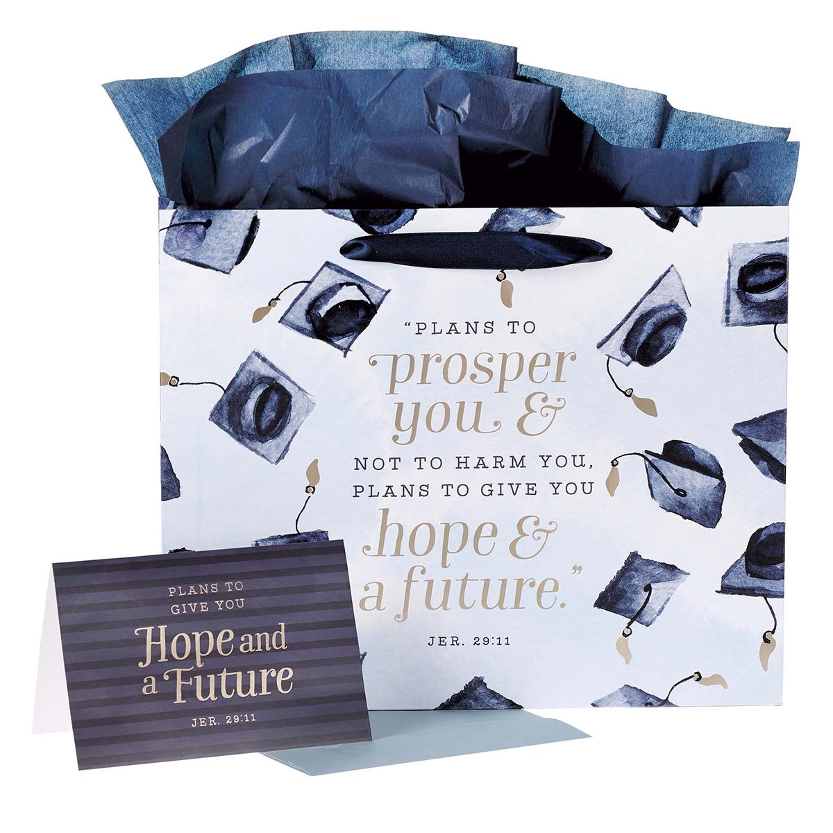 Gift Bag-Graduation w/Card & Tissue-Large