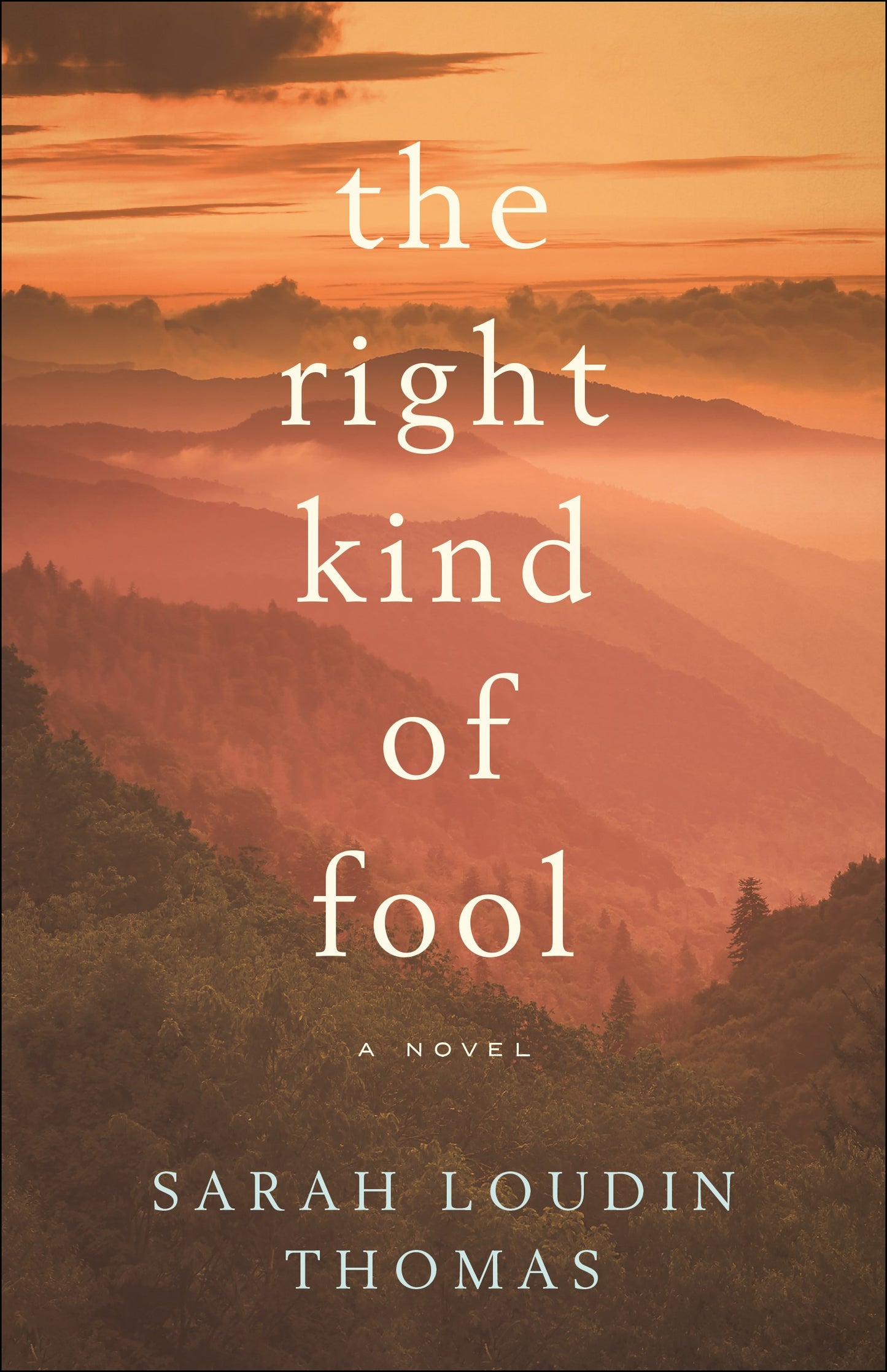 The Right Kind Of Fool: A Novel