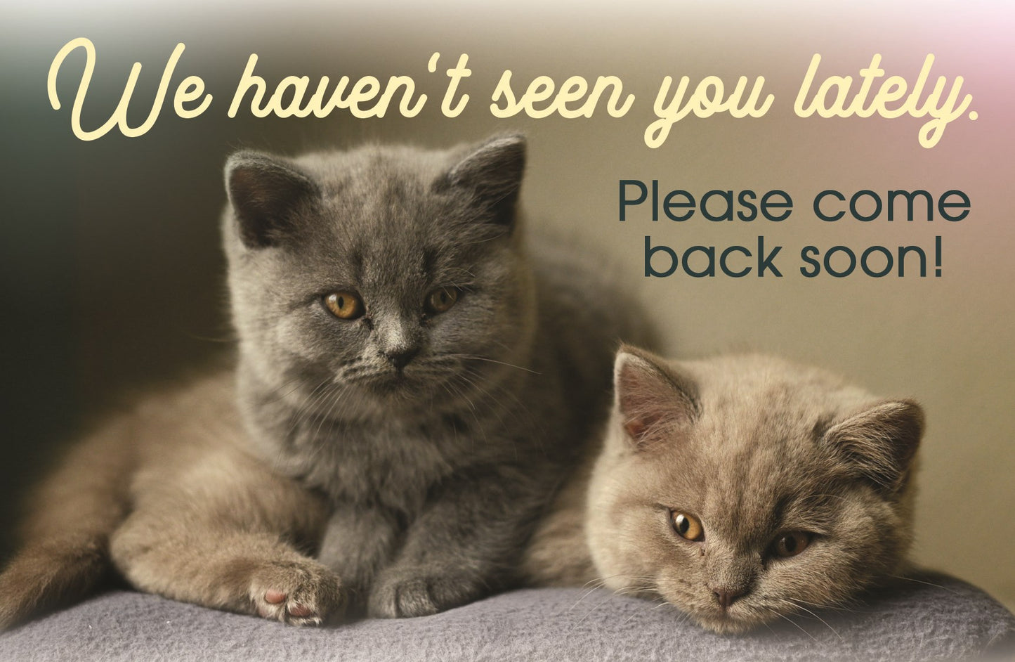 Postcard-We Haven't Seen You Lately (Pack Of 25)