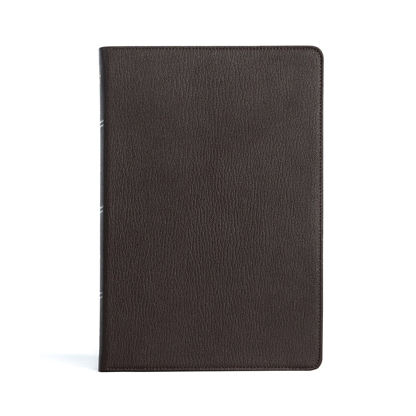 KJV Large Print Thinline Bible-Black Premium Leather