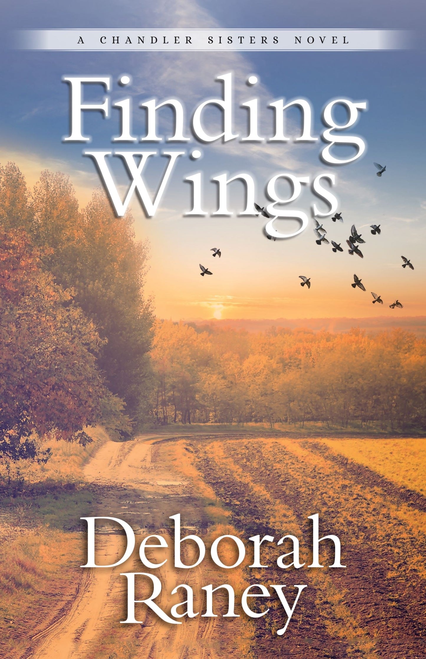 Finding Wings (A Chandler Sisters Novel #3)