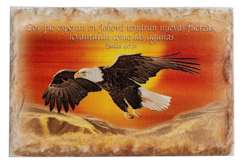 Span-Desktop-On Eagles Wings Stone (Isaiah 40:31) In Gift Box (#21144)