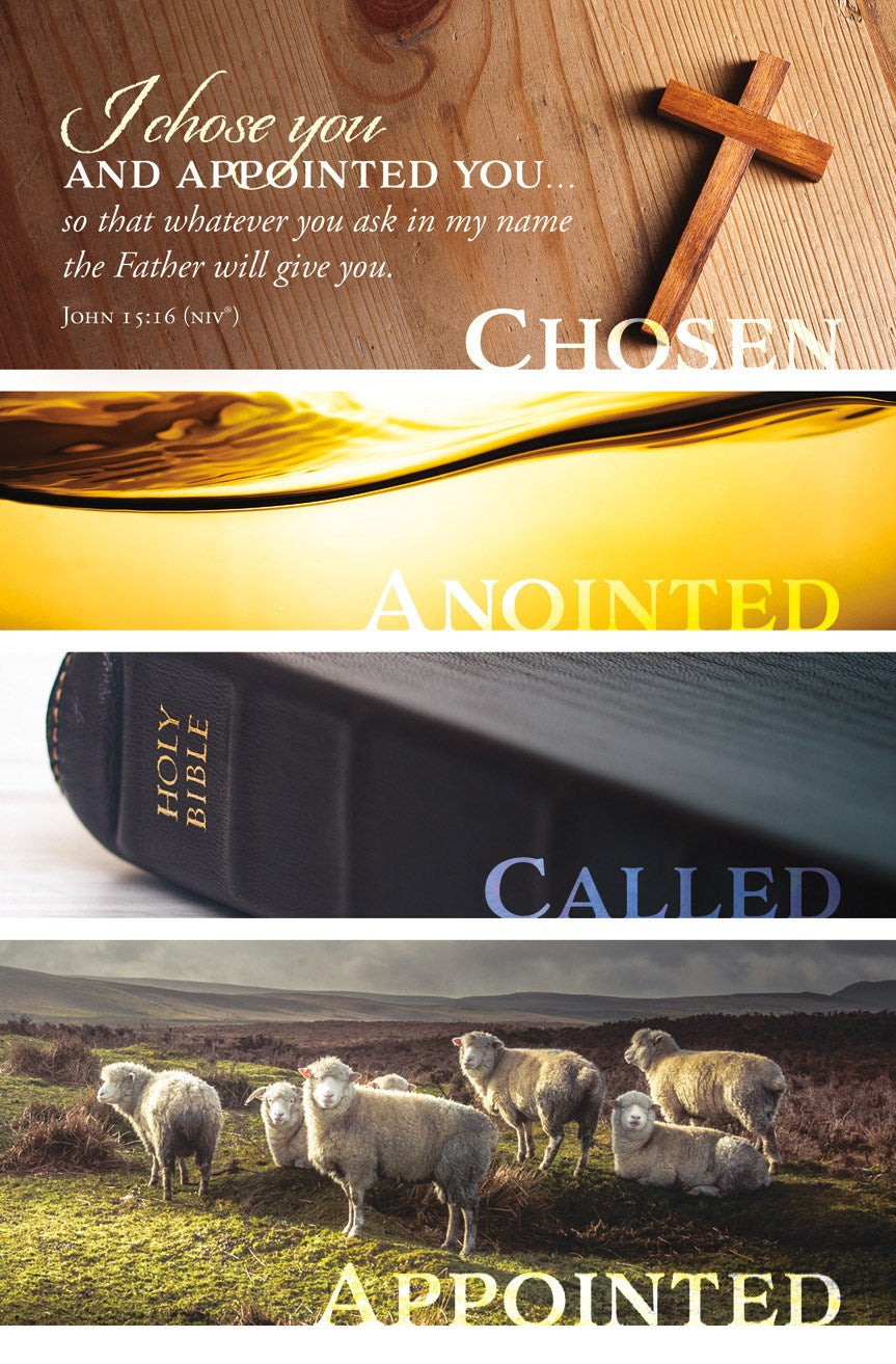 Bulletin-I Chose You And Appointed You....(John 15:16  NIV) (Pack Of 100)