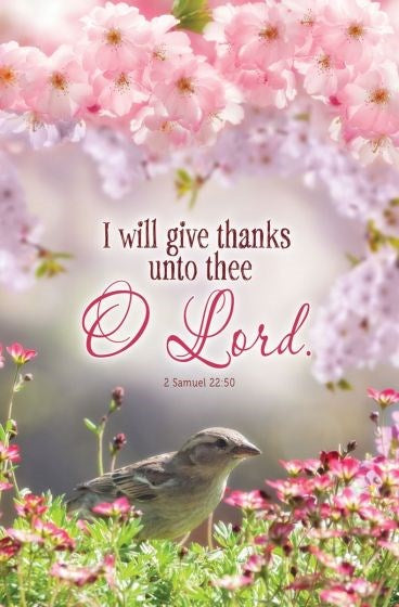 Bulletin-I Will Give Thanks Unto Thee O Lord (2 Samuel 22:50  KJV) (Pack Of 100)