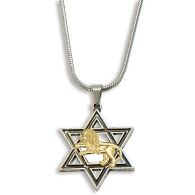 Pendant-Star Of David & Lion Of Judah (Stainless Steel) (#9610)