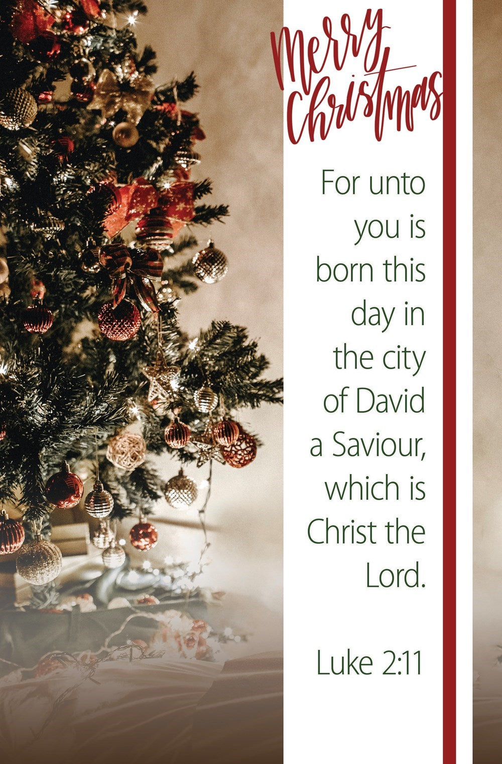 Bulletin-Merry Christmas/For Unto You Is Born This Day (Luke 2:11) (Pack Of 100)