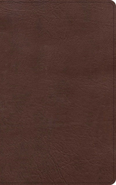 KJV Single-Column Personal Size Bible-Brown LeatherTouch