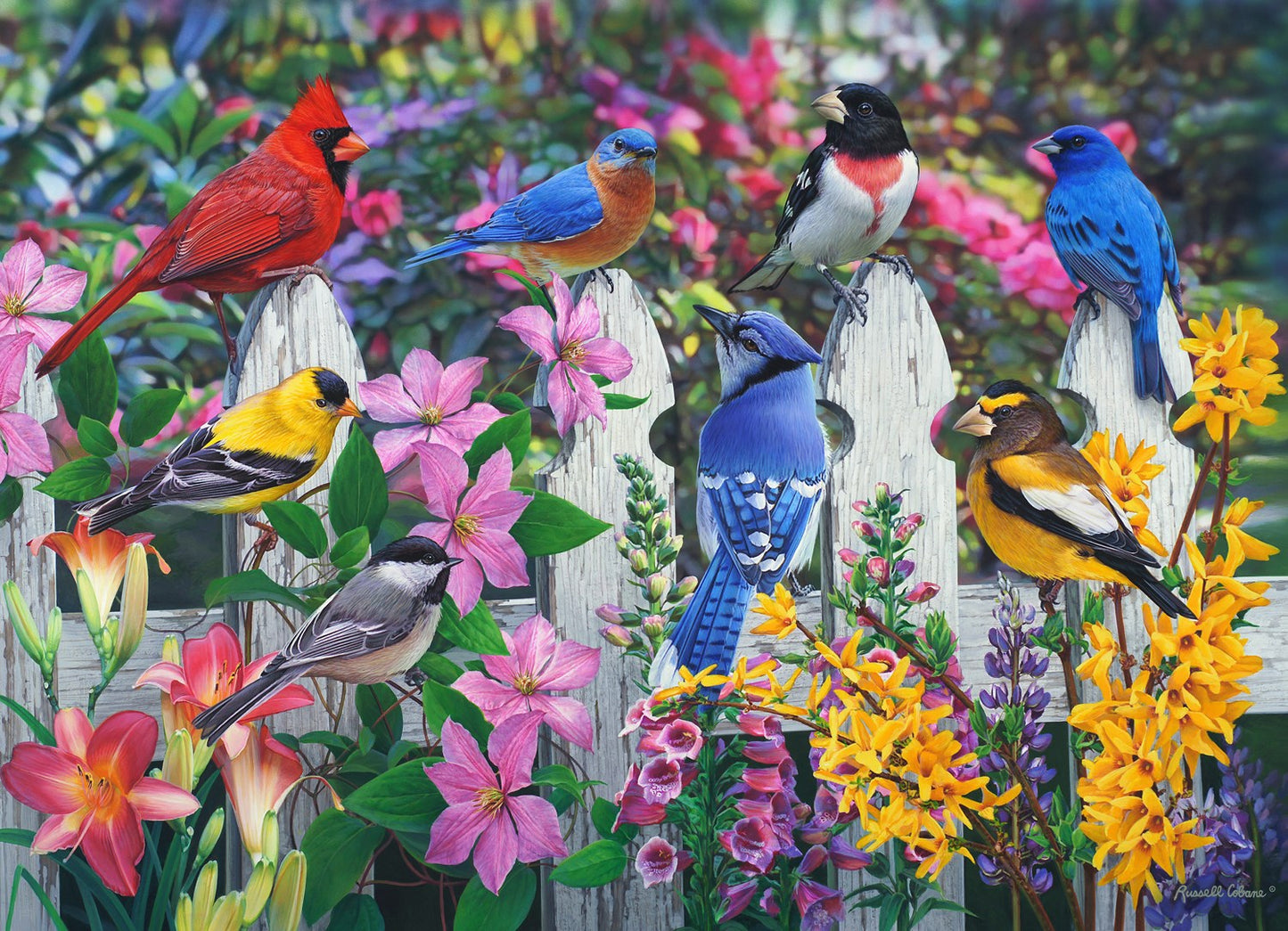 Jigsaw Puzzle-Songbirds (1000 Pieces)