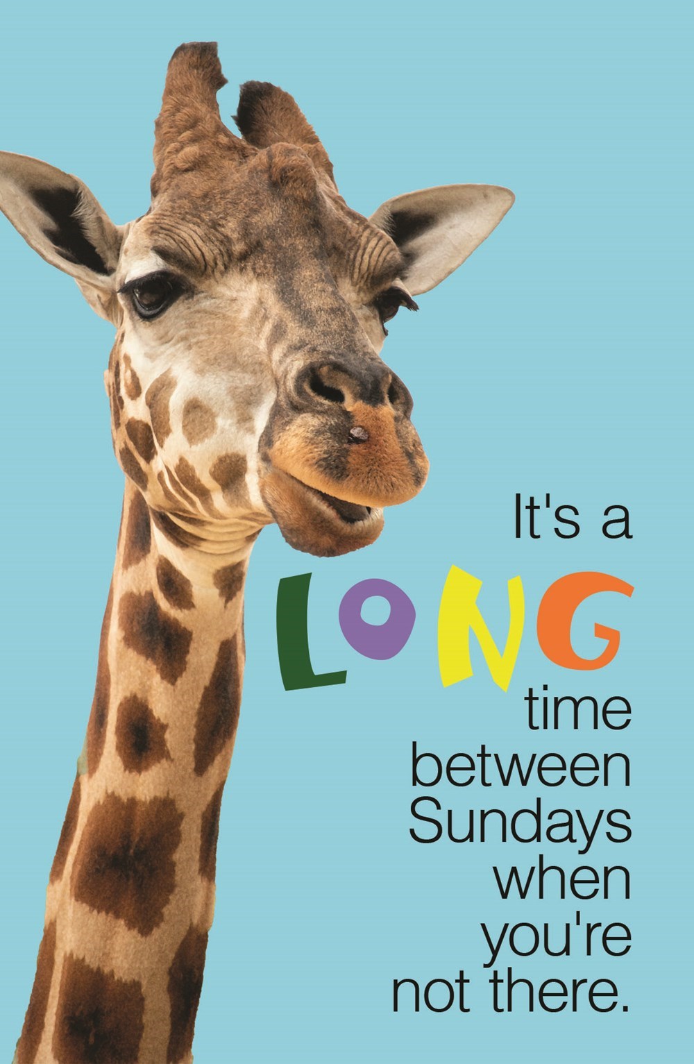 Postcard-It's A Long Time Between Sundays When You're Not There (Pack Of 25)