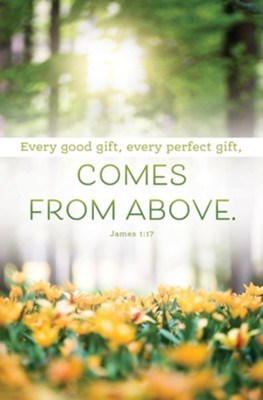 Bulletin-Every Good Gift  Every Perfect Gift  Comes From Above (James 1:17  CEB) (Pack Of 100