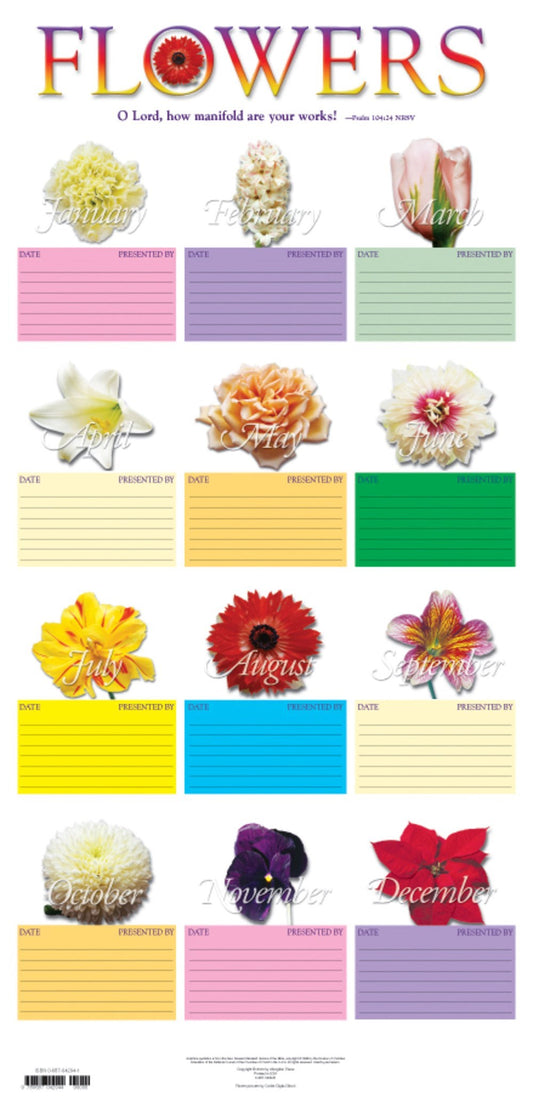 Chart-Flower Chart (15"x 31")-Mylar