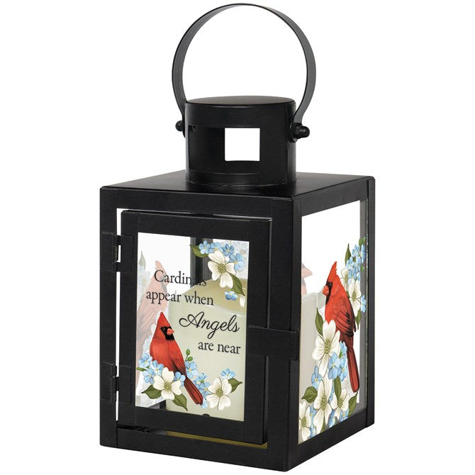 Lantern w/LED Candle & Timer-Cardinals Appear (9.5" x 4" x 4")