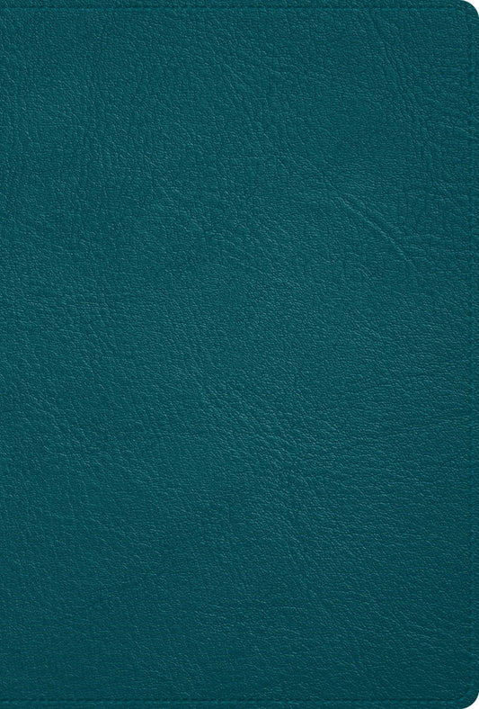 RVR 1960 Deluxe Bible (Holman Handcrafted Collection) (Biblia Deluxe)-Turquoise Premium Goatskin