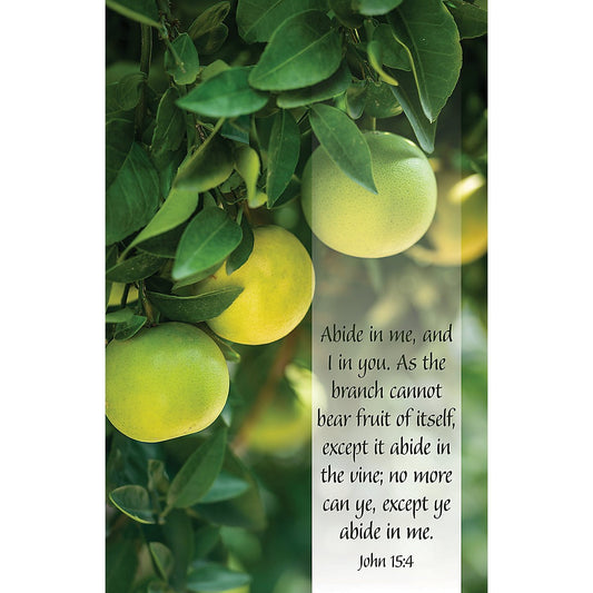 Bulletin-Abide In Me  And I In You (Pack Of 100)