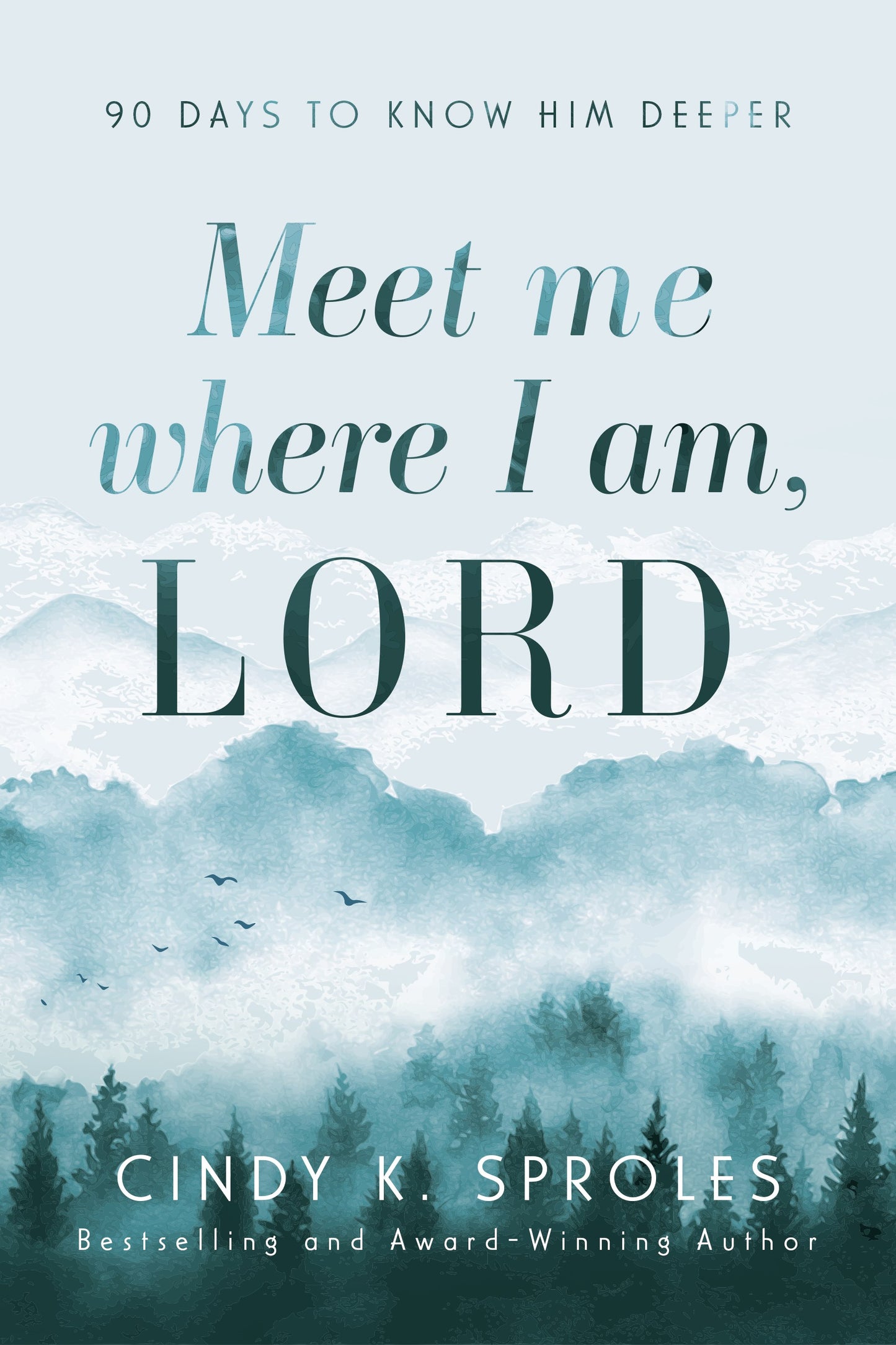 Meet Me Where I Am  Lord