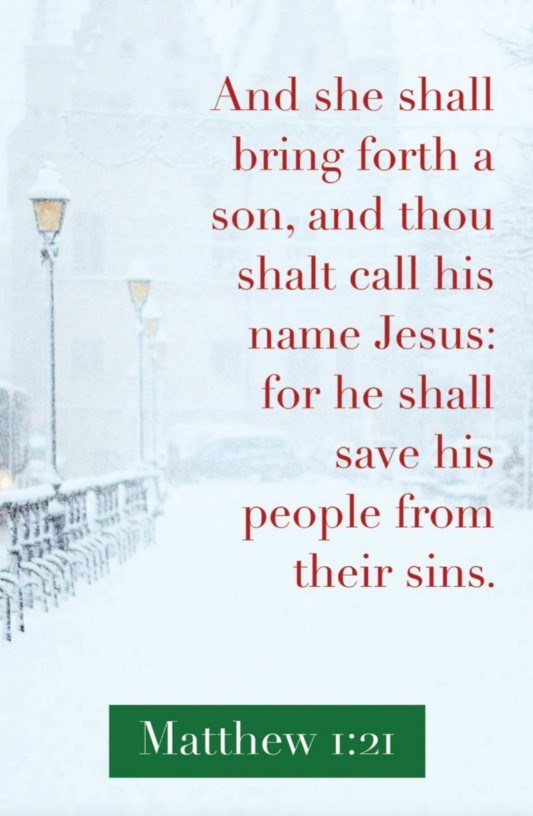 Bulletin-Jesus/And She Shall Bring Forth A Son (Pack Of 100)