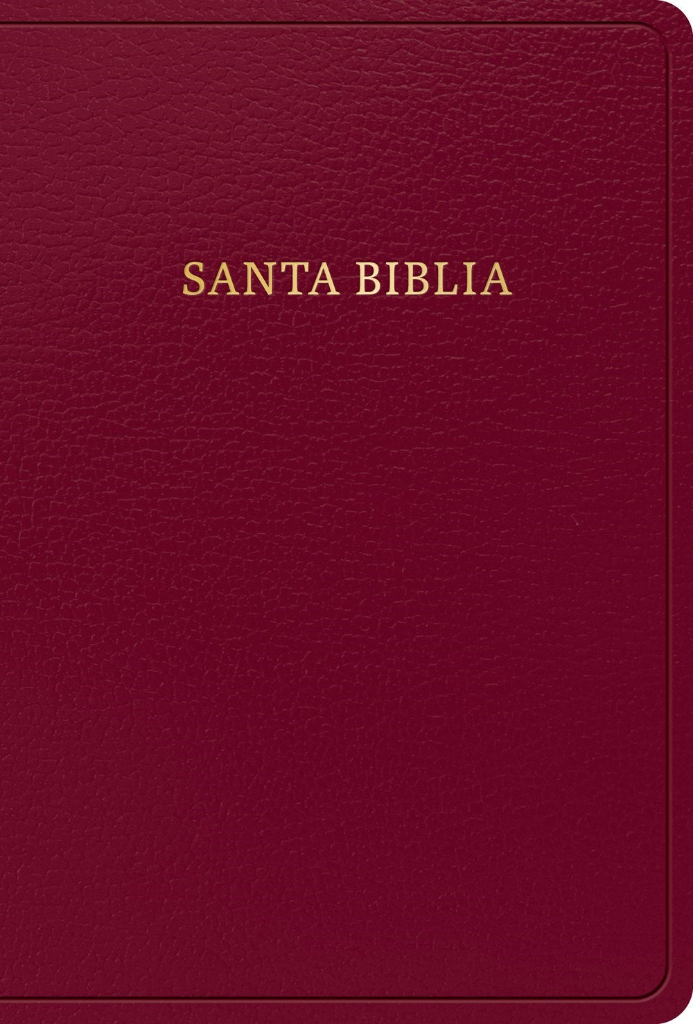 RVR 1960 Hand Size Giant Print Bible (Biblia Letra Grande Tamano Manual)-Burgundy Imitation Leather Indexed