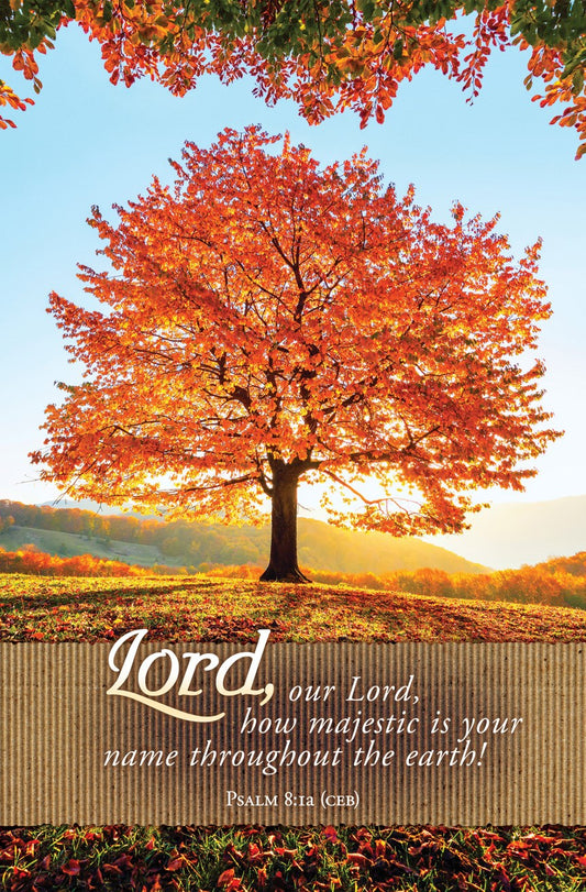 Bulletin-Lord Our Lord How Majestic Is Your Name (Psalm 8:1a) (Pack Of 100)