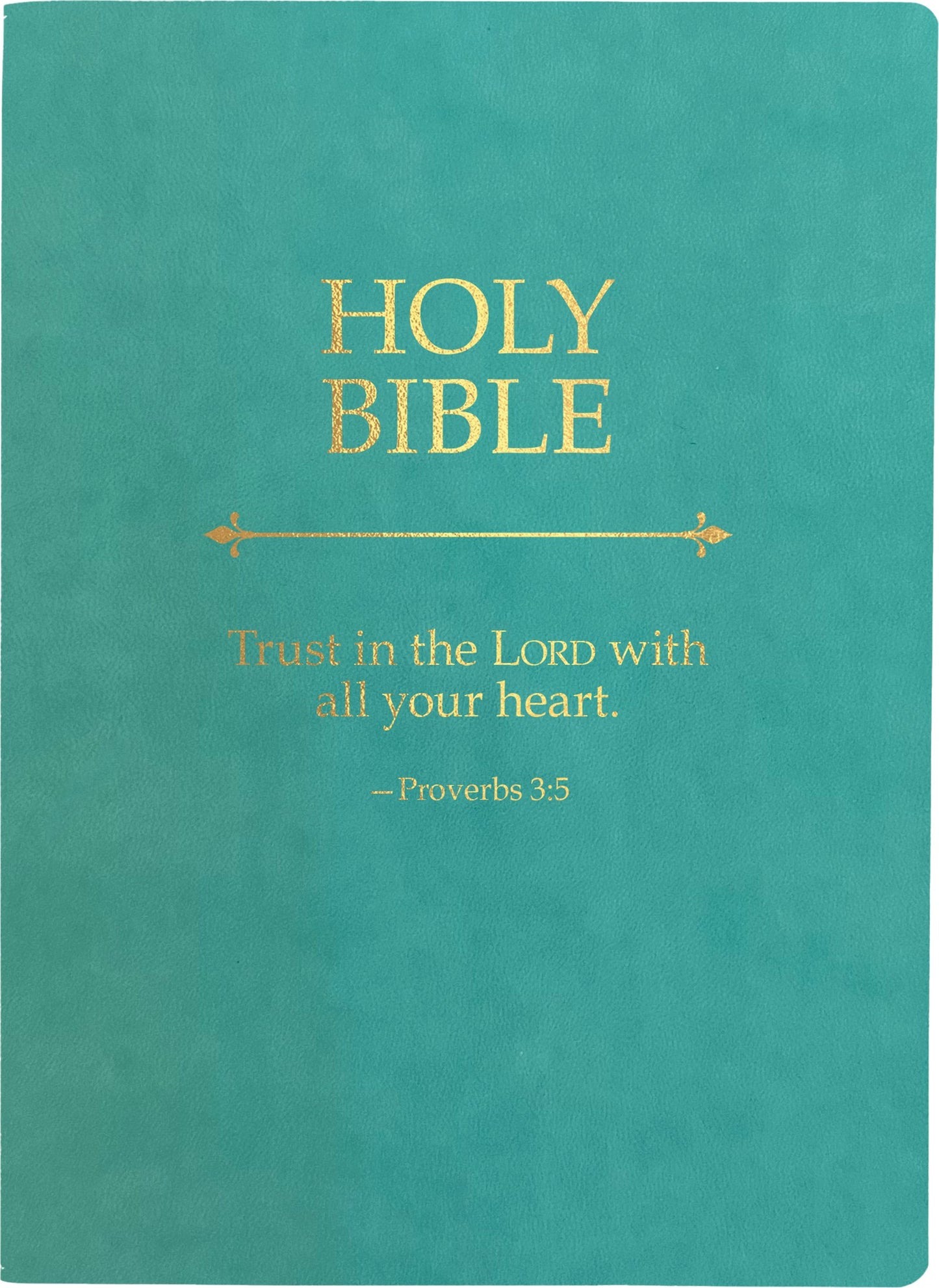 KJVER Holy Bible Trust In The Lord Life Verse Edition Large Print-Coastal Blue Ultrasoft