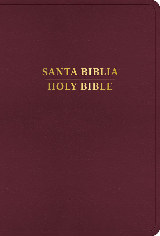 RVR 1960/KJV Large Print Bible (Biblia Bilingue Letra Grande)-Burgundy Imitation Leather Indexed