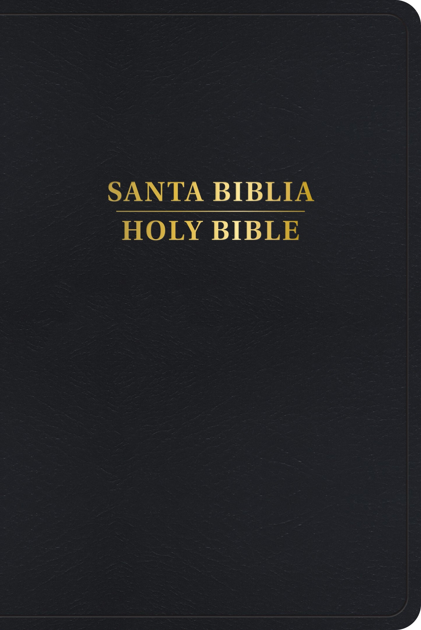 RVR 1960/KJV Bilingual Bible (Biblia Bilingue)-Black Imitation Leather