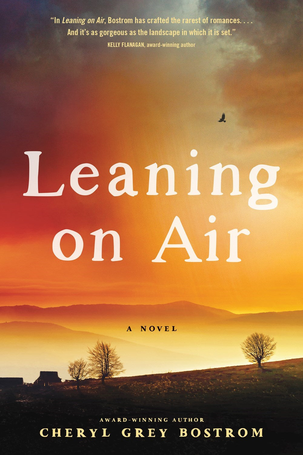 Leaning On Air-Hardcover