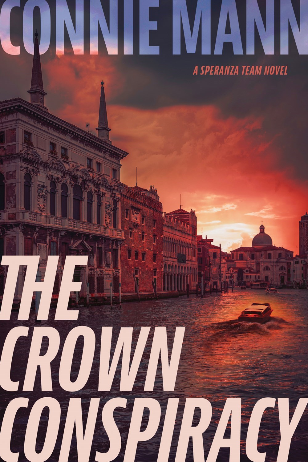 The Crown Conspiracy (A Speranza Team Novel)-Hardcover