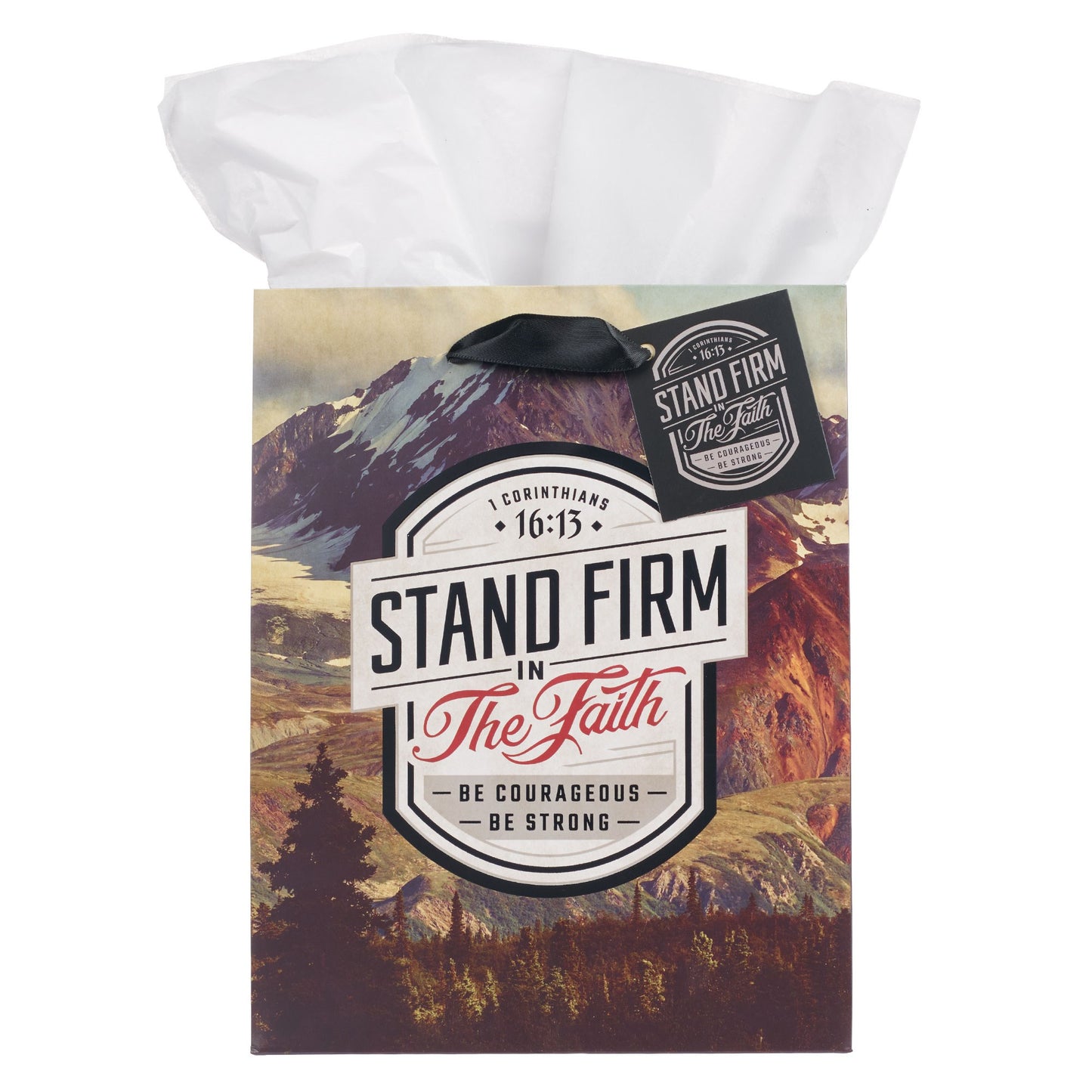 Gift Bag-Medium w/ Tag & Tissue-Stand Firm-1 Cor. 16:13