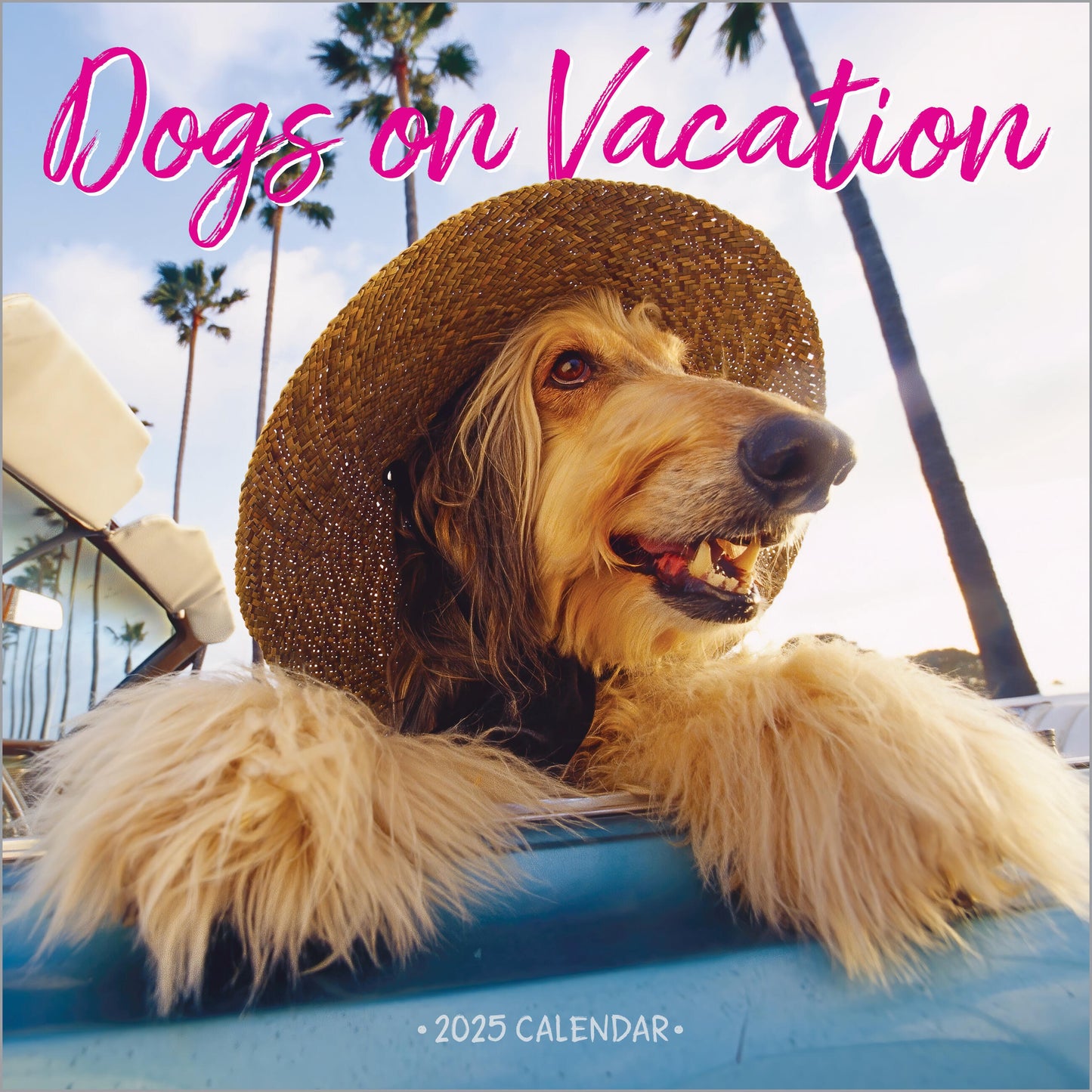 Calendar-2025-Dogs On Vacation Wall (12" x 12")