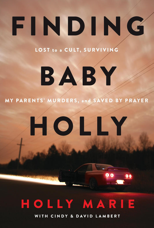 Finding Baby Holly-Softcover