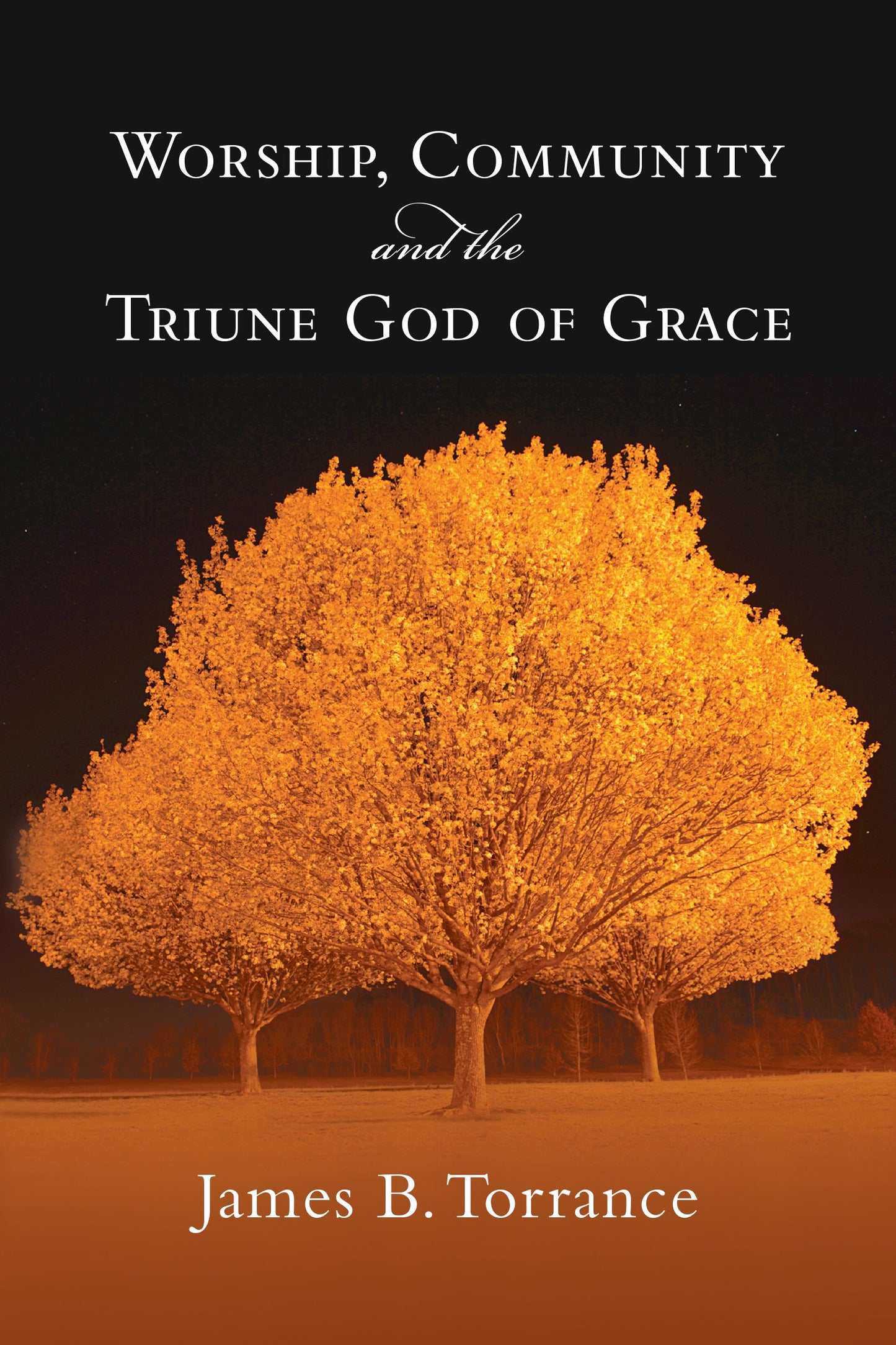 Worship  Community And The Triune God Of Grace