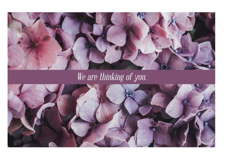 Postcard-We Are Thinking Of You (Matthew 5:6  KJV) (Pack Of 25)