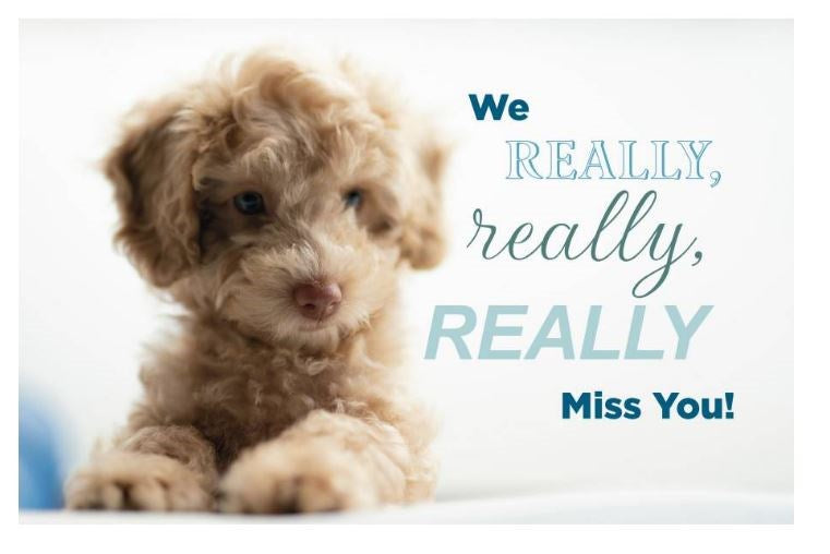 Postcard-We Really  Really  Really Mis You! (2 Peter 1:2  KJV) (Pack Of 25)