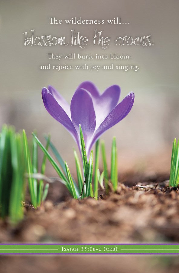 Bulletin-The Wilderness Will...Blossom Like The Crocus (Isaiah 35:1b-2) (Pack Of 100)